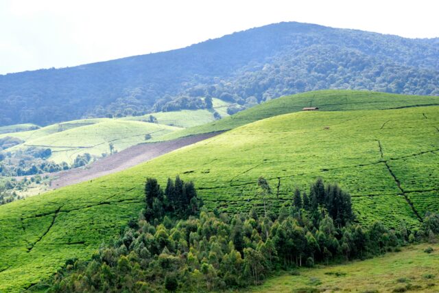 Burundi