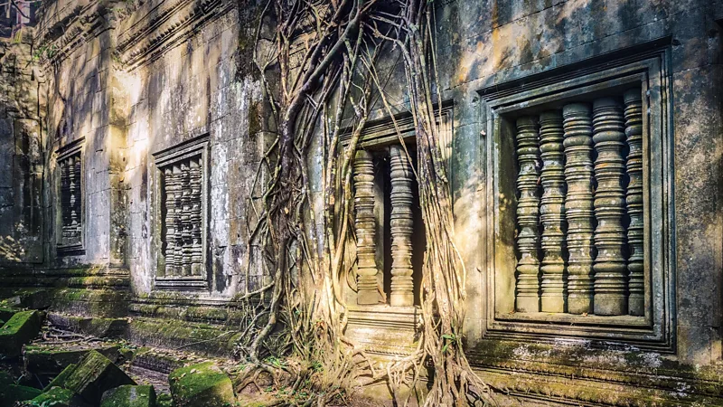 Beng Mealea is a hidden temple in the jungle connected by the East Royal Road