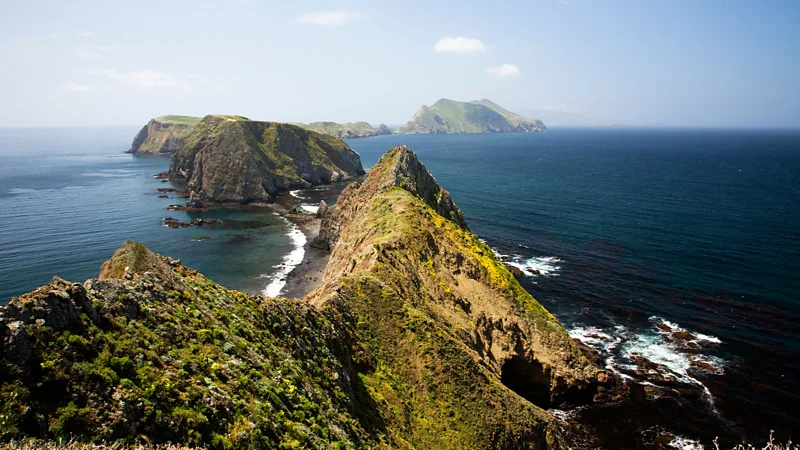 The Channel Islands are known as "the Galapagos of North America" and comprise eight picture-perfect isles