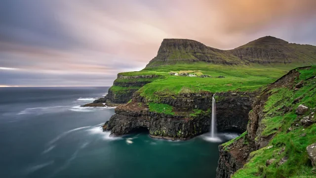 Faroe Islands Sheep