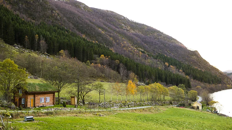 Visitors looking around from inside or outside the cabin will see a view akin to that of a mid-19th-Century farm worker